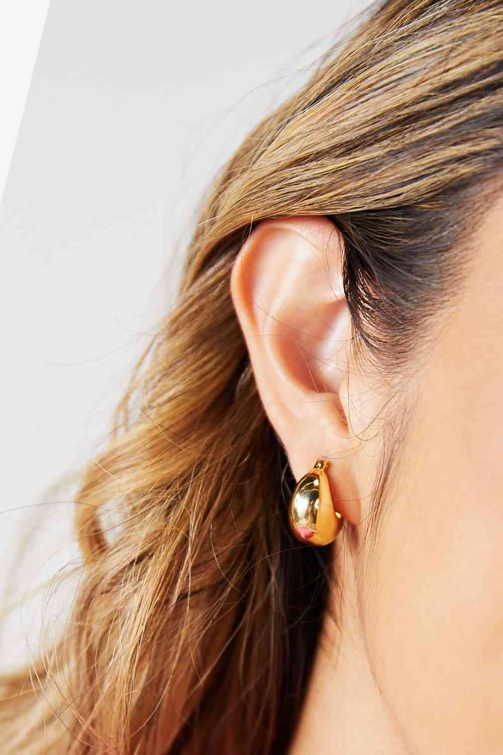 Adored Stainless Steel Earrings - Mythical Kitty Boutique